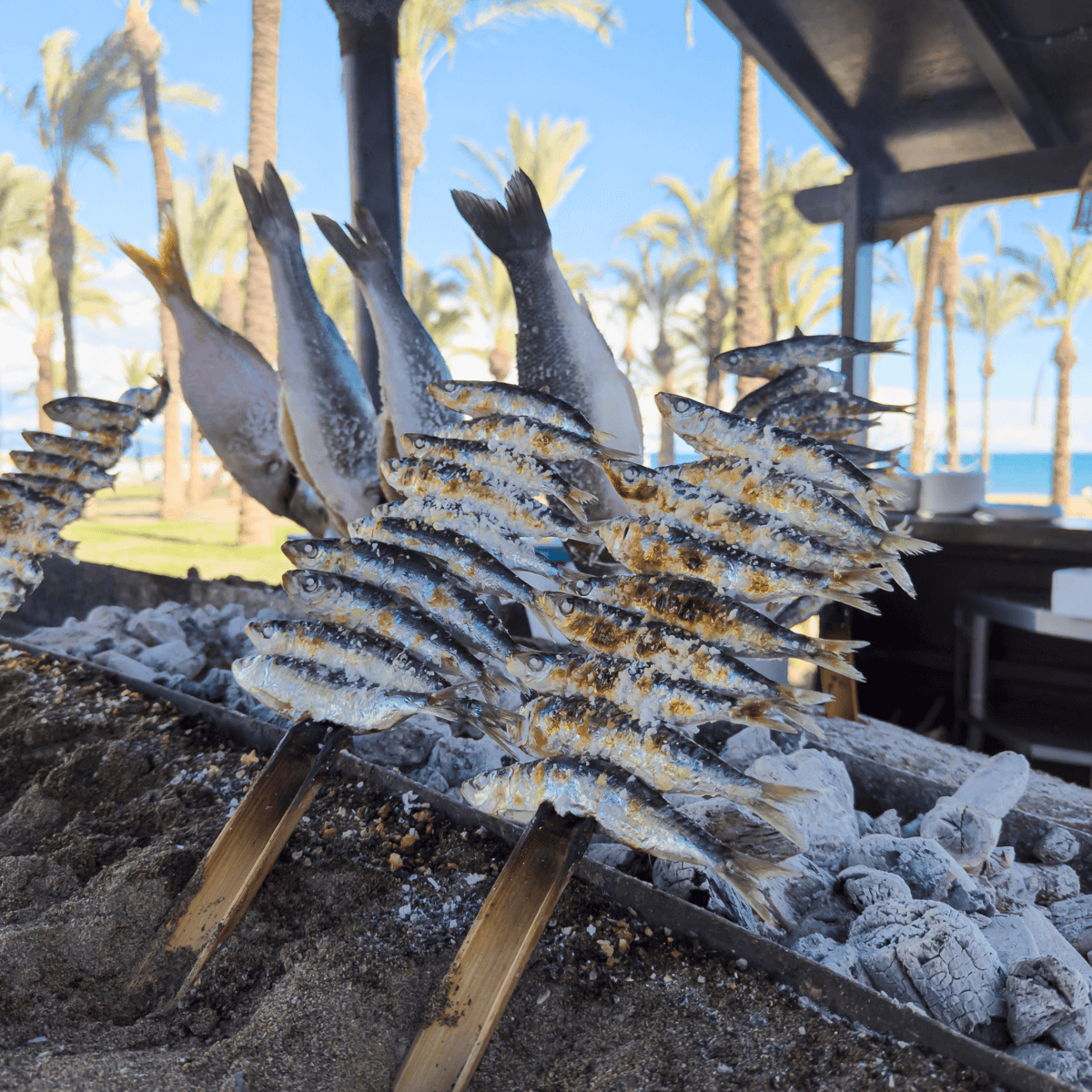 ネルハのビーチで炭火焼きにされた新鮮なイワシのエスペト・デ・サルディナス