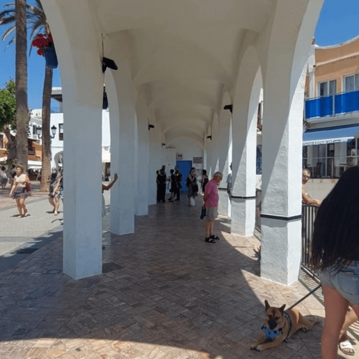 ネルハ旧市街の白い壁と青い空、カラフルな植木鉢が飾られた街並み