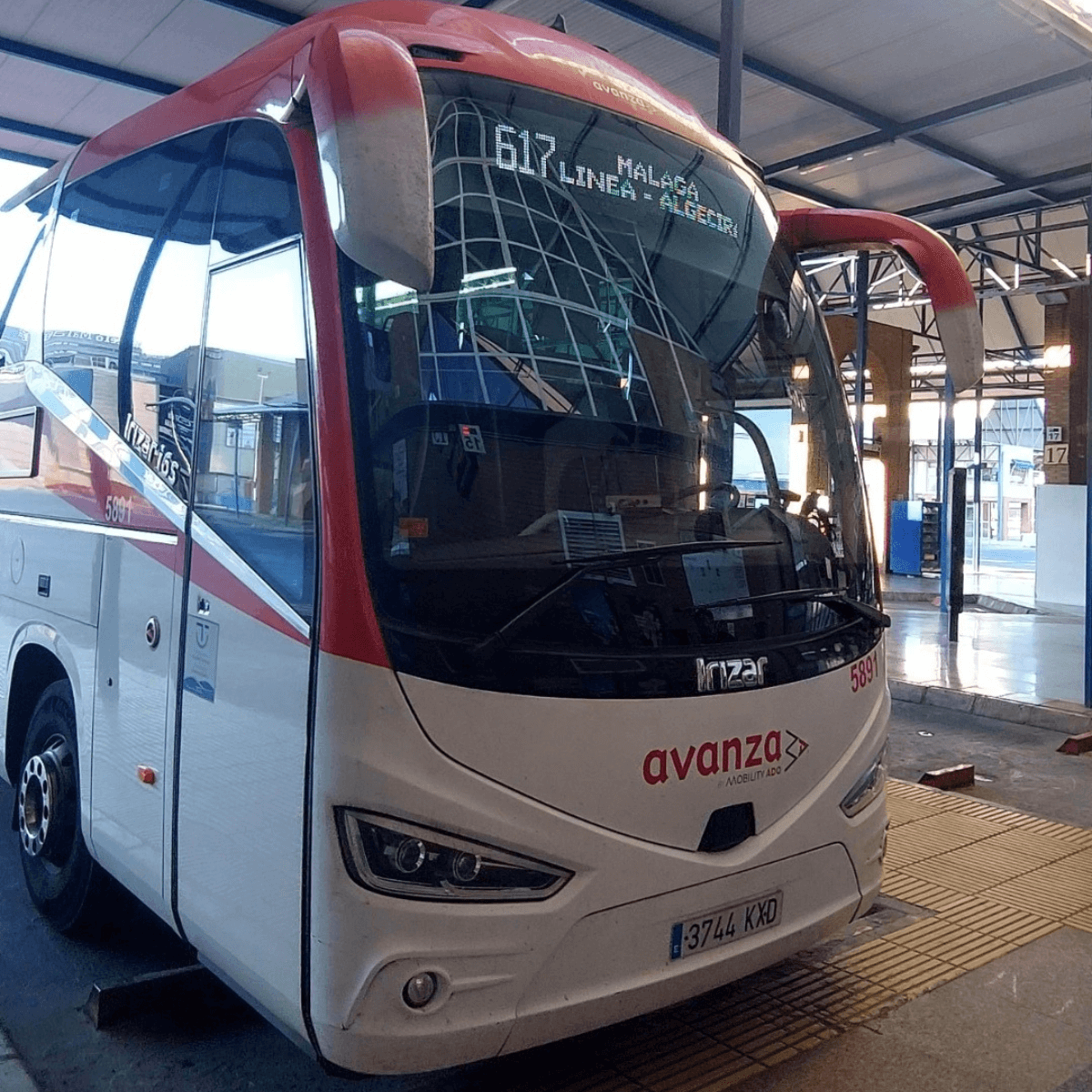 マラガからネルハへ向かうALSAなどの長距離バスの車体。チケットを事前にOmioで予約する手順を解説。