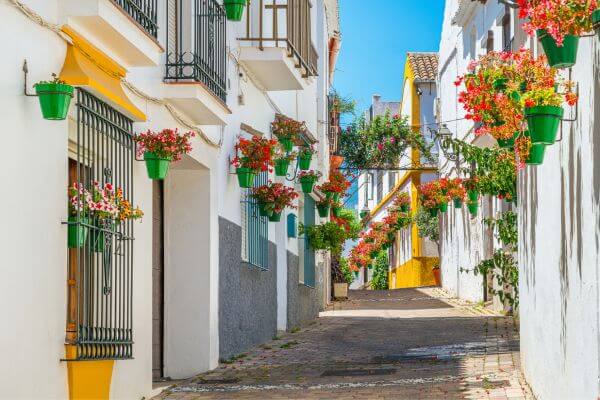 Colorful patio in the Trinidad district during Malaga Patio Festival