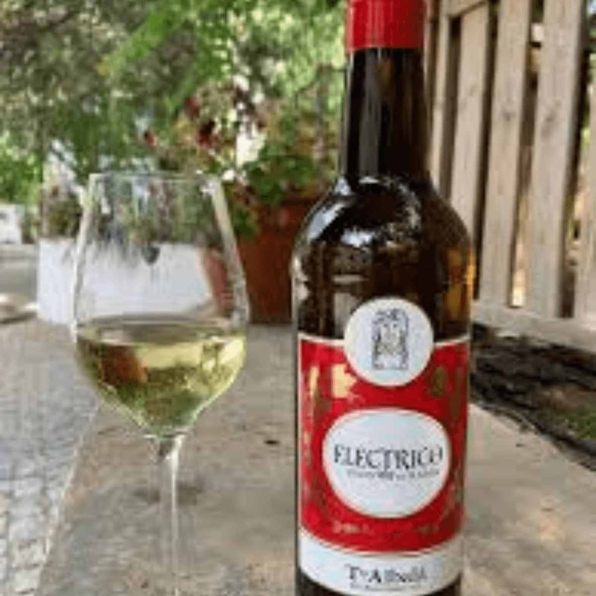 シェリー酒フィノの写真